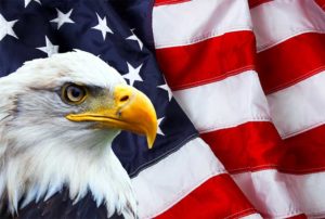 image of an eagle over the american flag