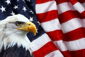 USA Flag With Eagle