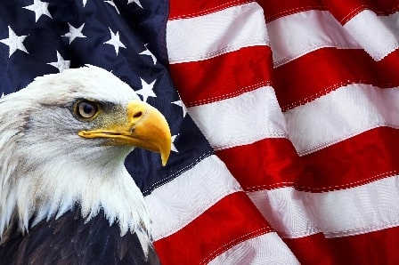 USA Flag With Eagle USA Flag With Eagle